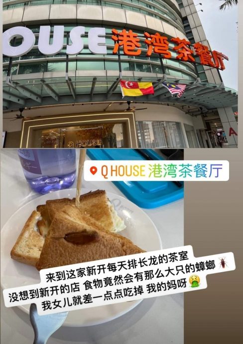 为面包有蟑螂公开道歉 茶餐厅：将严惩开除涉事主管员工