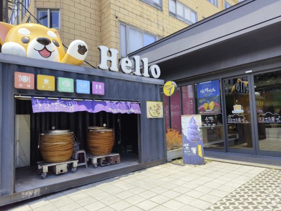 卓衍豪／“汪汪地瓜园”──坚忍的番薯，共好的金山