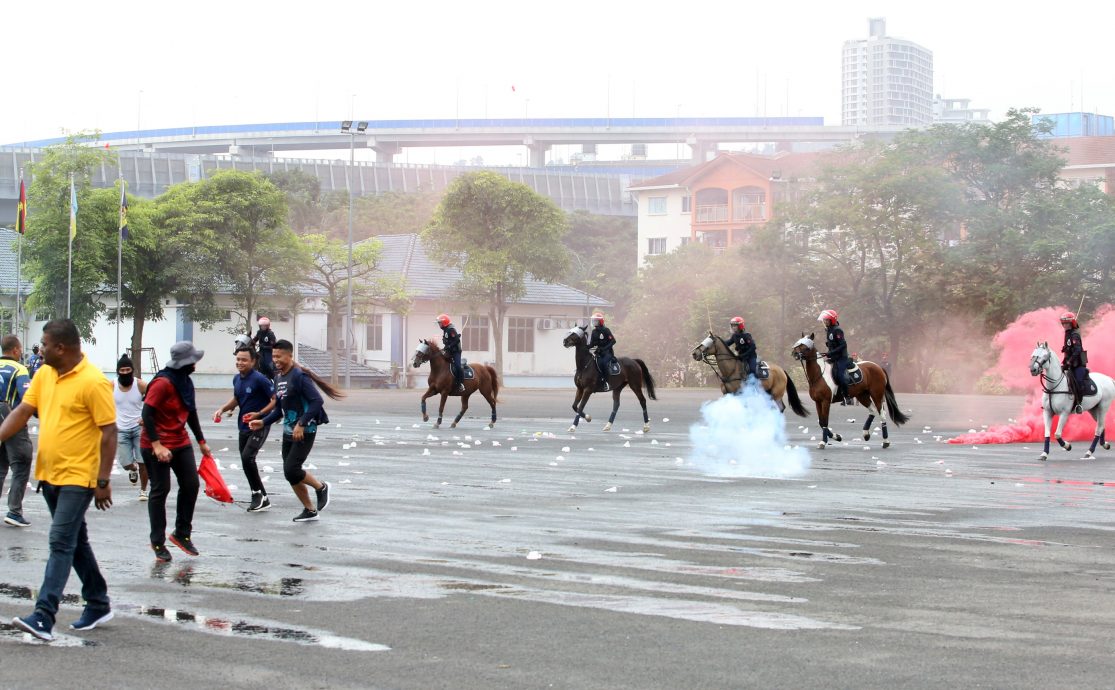 参与骑乘训练正式毕业·30骑警“骑马镇暴”英姿飒爽