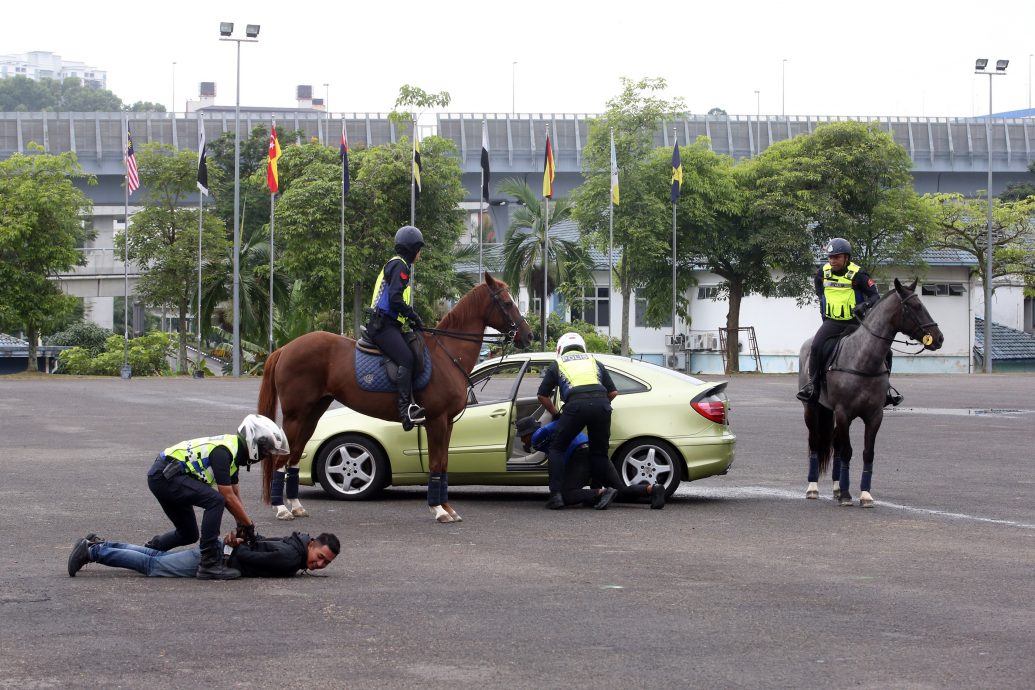 参与骑乘训练正式毕业·30骑警“骑马镇暴”英姿飒爽