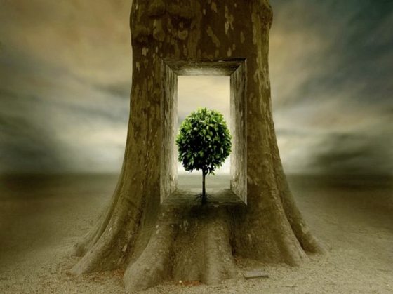 吴伟才／“邻居”的肖像