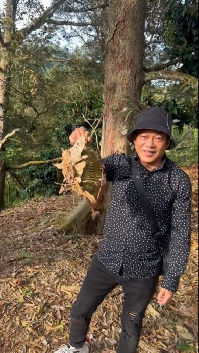 国庆日开心捡榴梿 李康生尝遍本地水果叹幸福