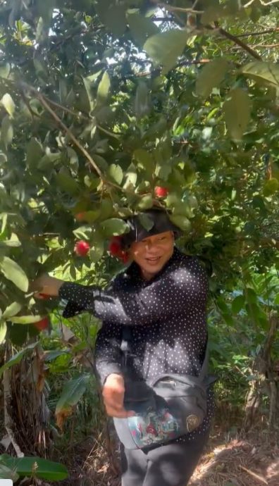 国庆日开心捡榴梿 李康生尝遍本地水果叹幸福