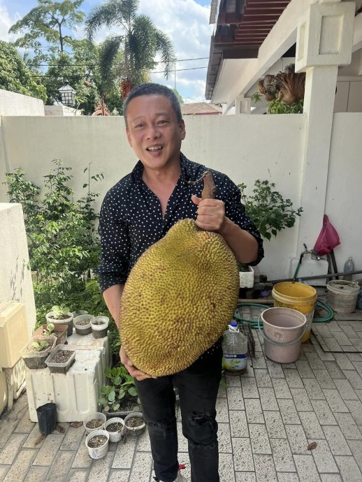 国庆日开心捡榴梿 李康生尝遍本地水果叹幸福