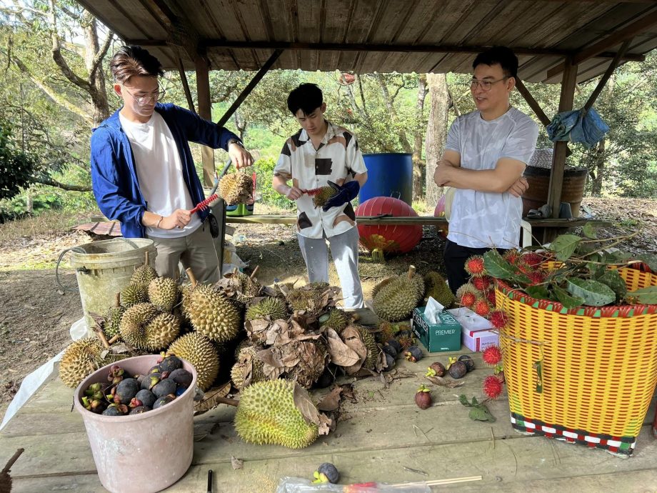 国庆日开心捡榴梿 李康生尝遍本地水果叹幸福