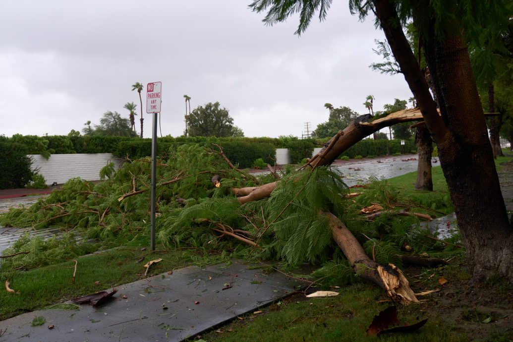 地震、风暴、野火三重夹击 加州官员疲于奔命