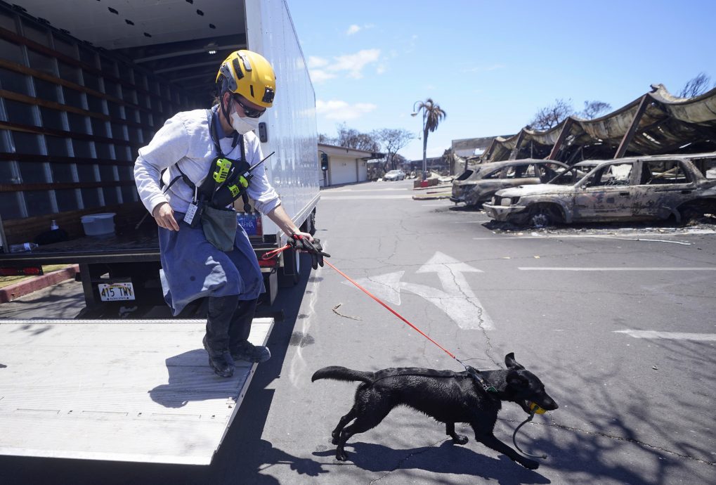 夏威夷山火至少89死 居民控诉:没人提前警告!