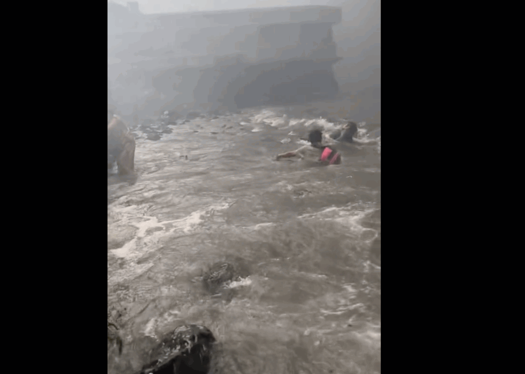 夏威夷野火已80人丧生 海堤漂浮著尸体