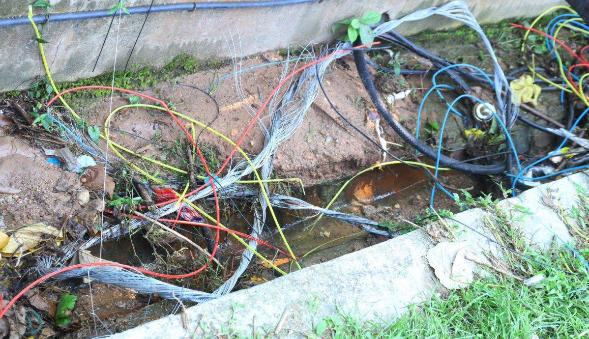 大都会/余保凭巡视MMR2大道