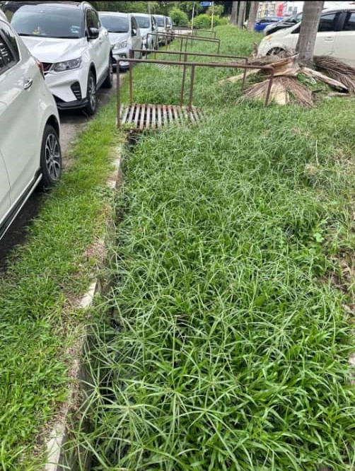大都会/国盟陈健达对巴生治水方案／6图