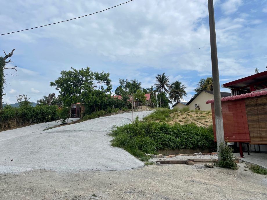 大都会/封底/双文丹仙四师爷宫筹30万以地养庙/10图