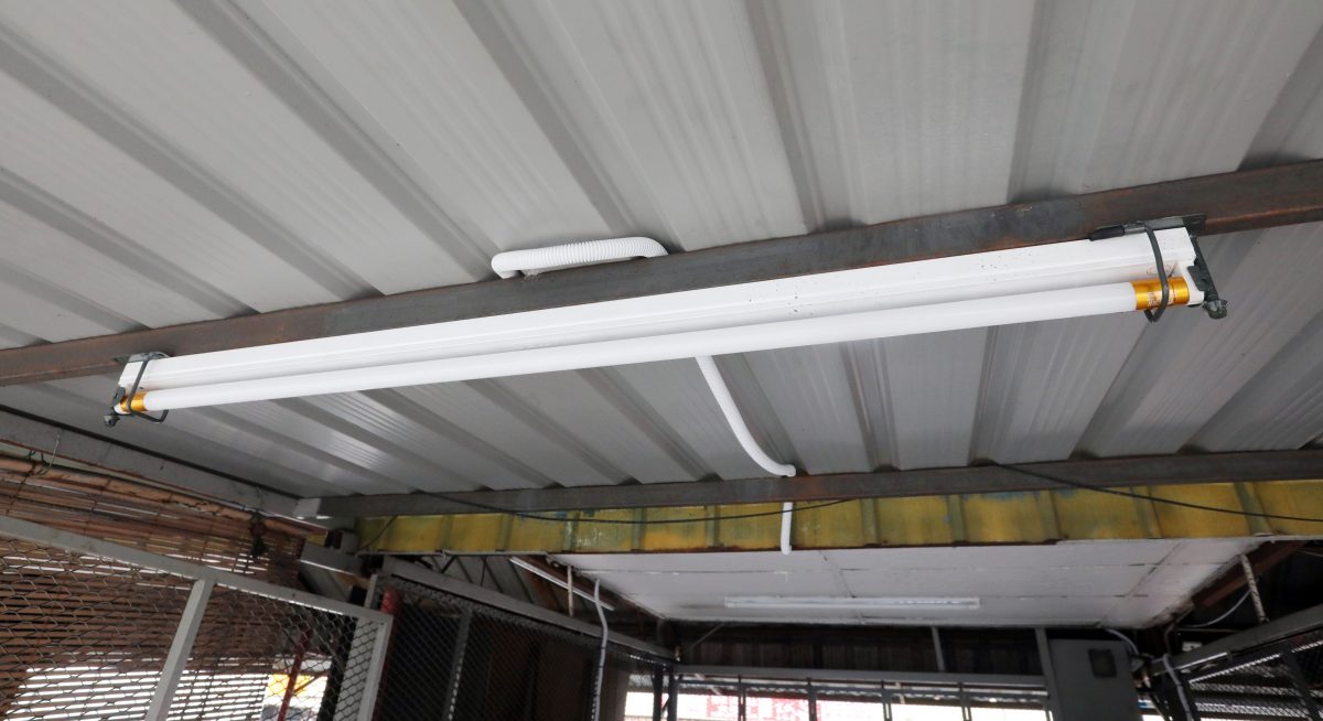 大都会/封面/灯管被偷，小贩被迫为灯管上锁