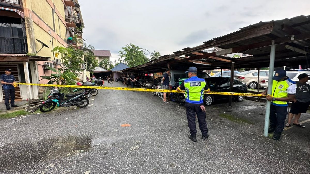 大都会/暴风雨刮走屋顶/3图