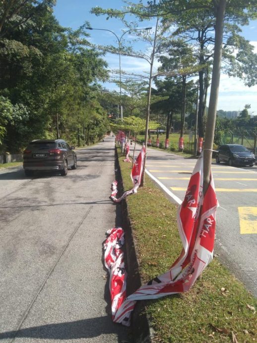 大都会/游佳豪旗子横幅被毁/3图