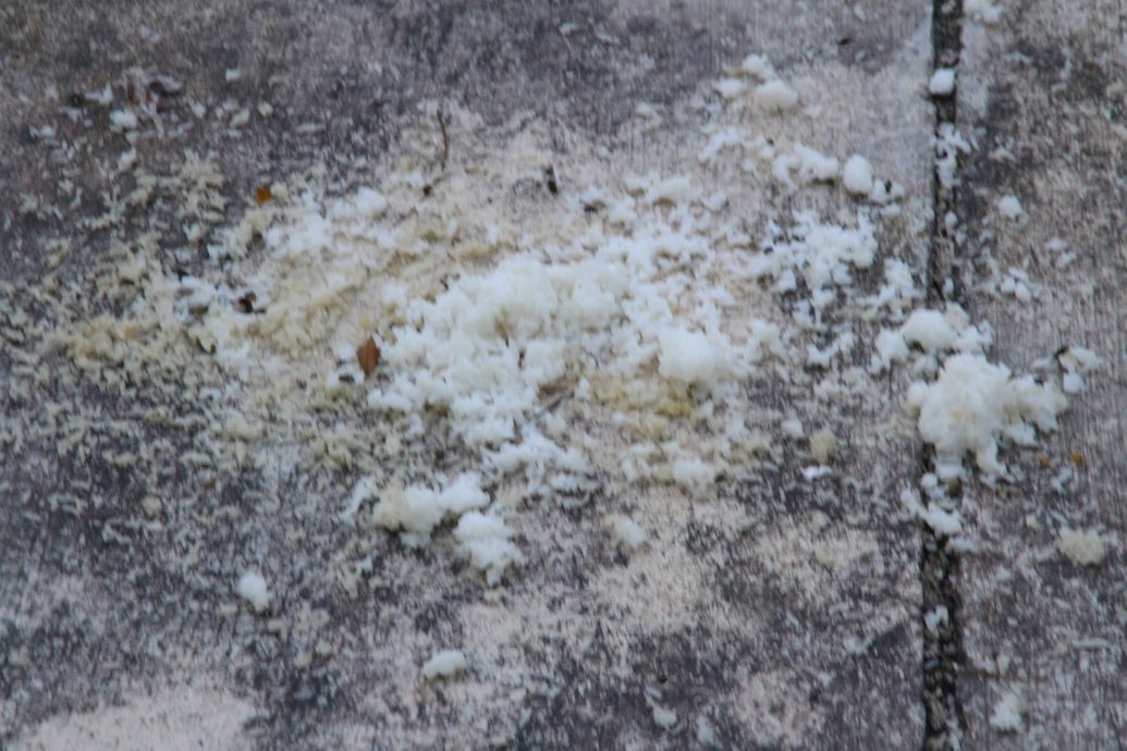 大都会/ME02头/PJ 17区公园 环境恶劣 垃圾处处