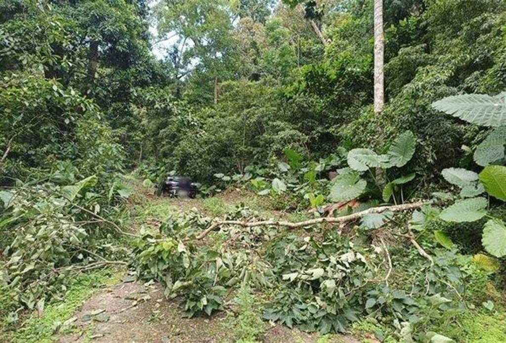 家庭悲剧!苗栗「一家5口」陈尸偏僻农路车内 死亡超过5天