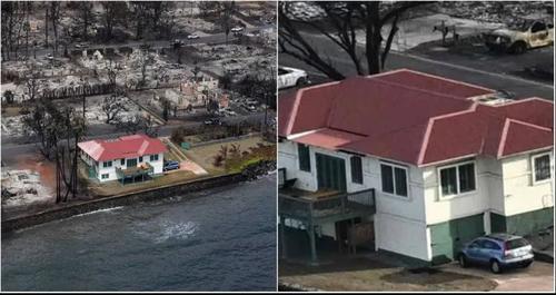 山火肆虐夏威夷毛伊岛!周围烧成灰烬「这栋房子」奇迹幸存 庭院放眼一片绿意