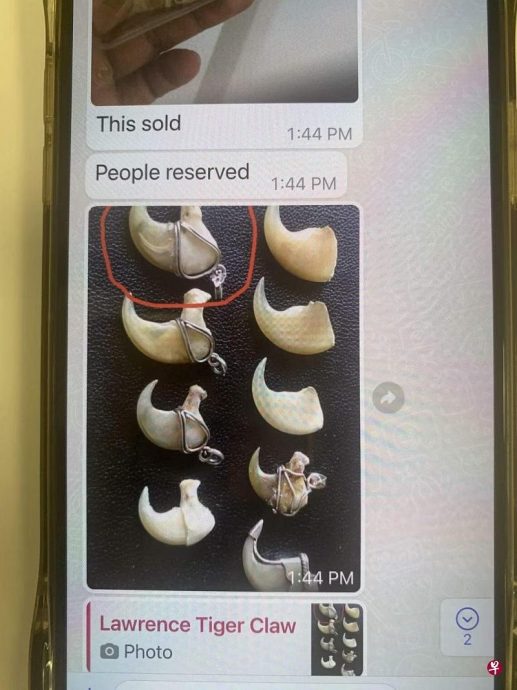 *已签发*柔:狮城二三事:网售濒危动物或其部位 狮城公园局4年逮8人