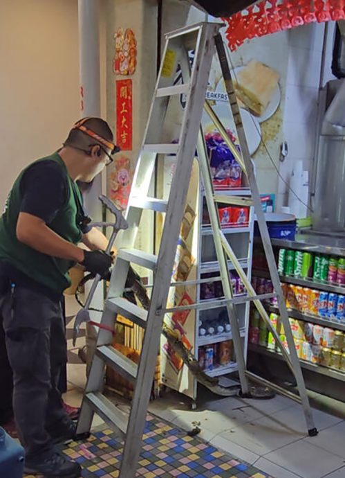 *已签发*柔:狮城二三事:蛇藏咖啡店招牌后 摊贩未察觉照营业