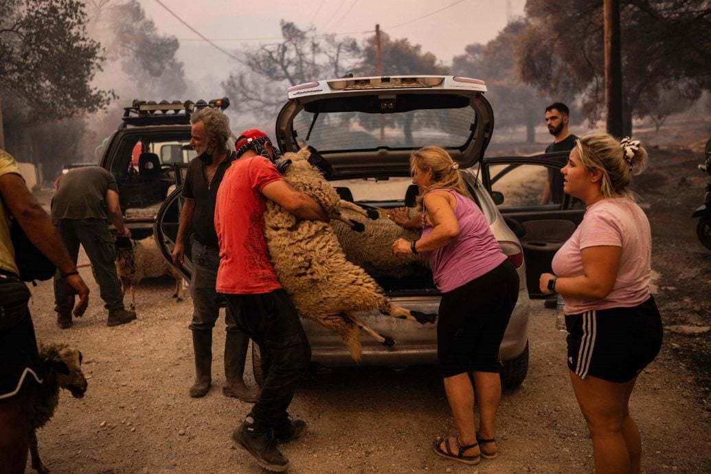 希腊野火狂烧发现18具焦尸 疑为难民