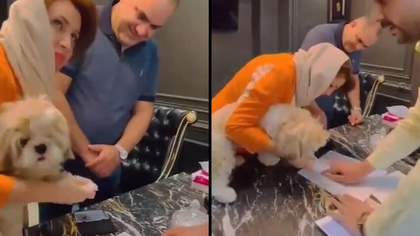 把公寓卖给宠物犬 伊朗房地产公司老板违法被捕