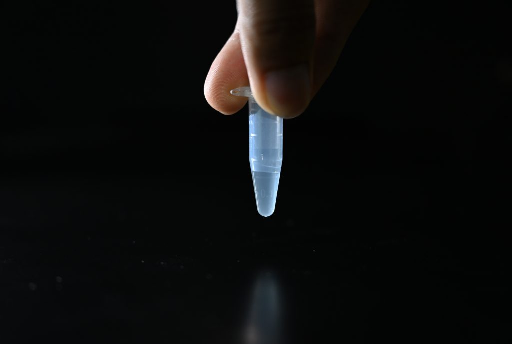 拼盘 未签∕人工合成糖迈出一大步! 陆科学家完成二氧化碳到糖的精准合成