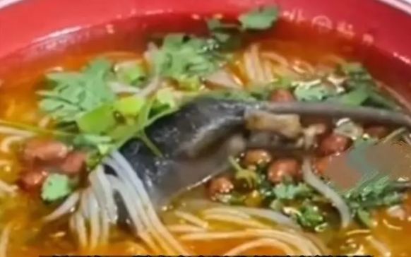 拼盘/整只“光溜溜老鼠”趴在面上! 店家喊冤:是老鼠自己掉进碗里的