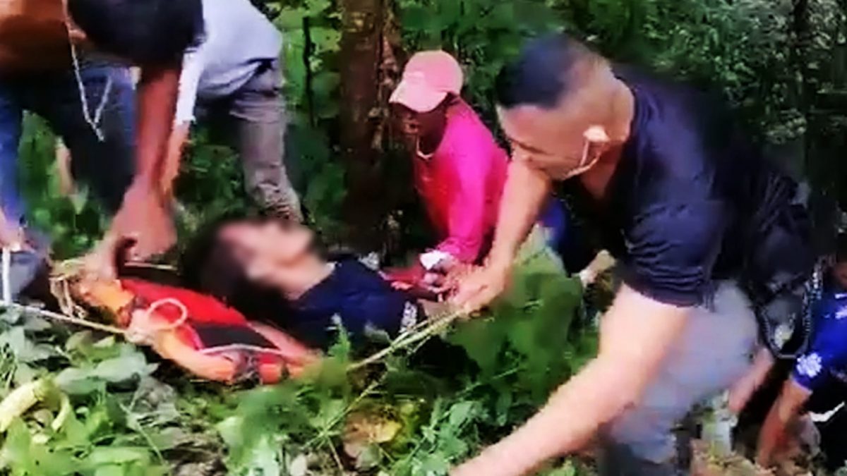 拼盘/男路边“随地解放”突然被十多只猴子攻击 坠落50公尺悬崖重伤