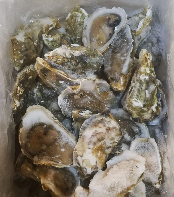 日本福岛排核废水入海 业者：政府严密把关，非所有日本料理原料从日本进口 可安心食用