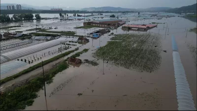 暴雨淹没稻田 中国东北知名粮仓恐「绝收」