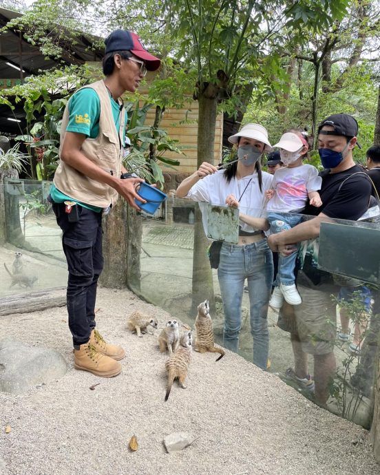 林峰一家三口游城之农场 张馨月玩蛇马甲线吸睛