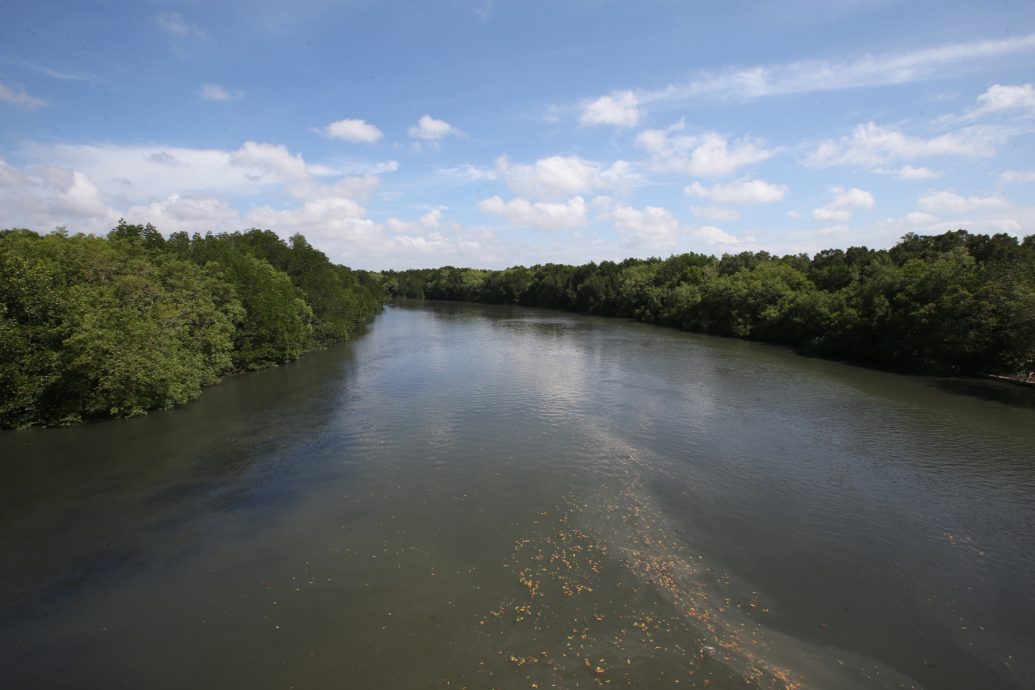 柔:原规划10年整治士姑来河 大臣要求缩短至5年