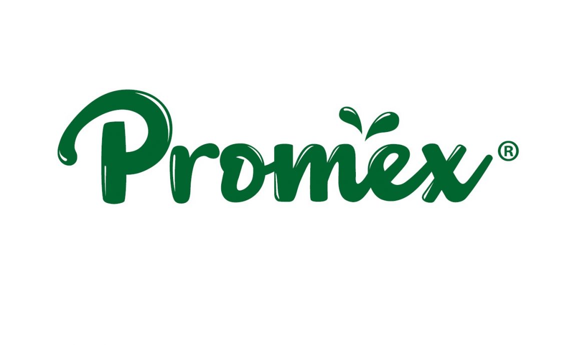 柔:头条之一:本报活动:有奖填字游戏,与麻坡3华小学生互动