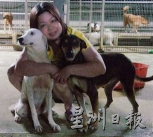 柔:宠物萌萌哒:从浪浪发展成家人 邱欣卉:不忍心放弃任何一条生命