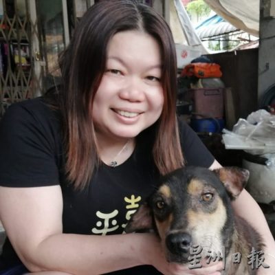 柔:宠物萌萌哒:从浪浪发展成家人 邱欣卉:不忍心放弃任何一条生命