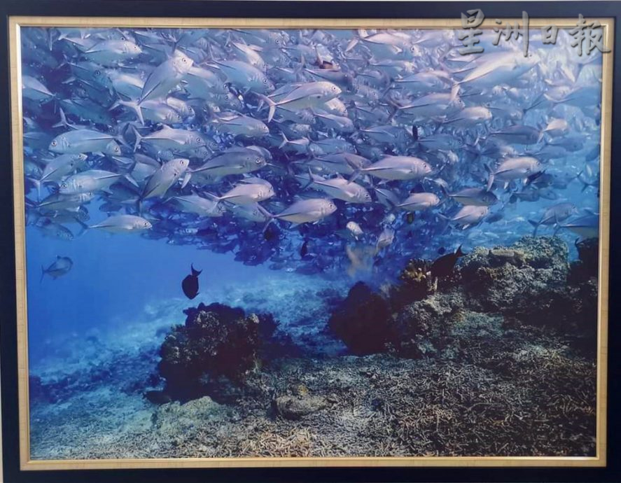 柔:新闻:配合110年校庆活动 古来宽中摄影展义卖