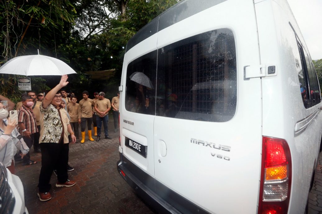 民众动物园大门口等候 雨中欢送“谊谊”“升谊”