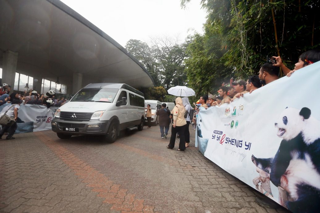 民众动物园大门口等候 雨中欢送“谊谊”“升谊”