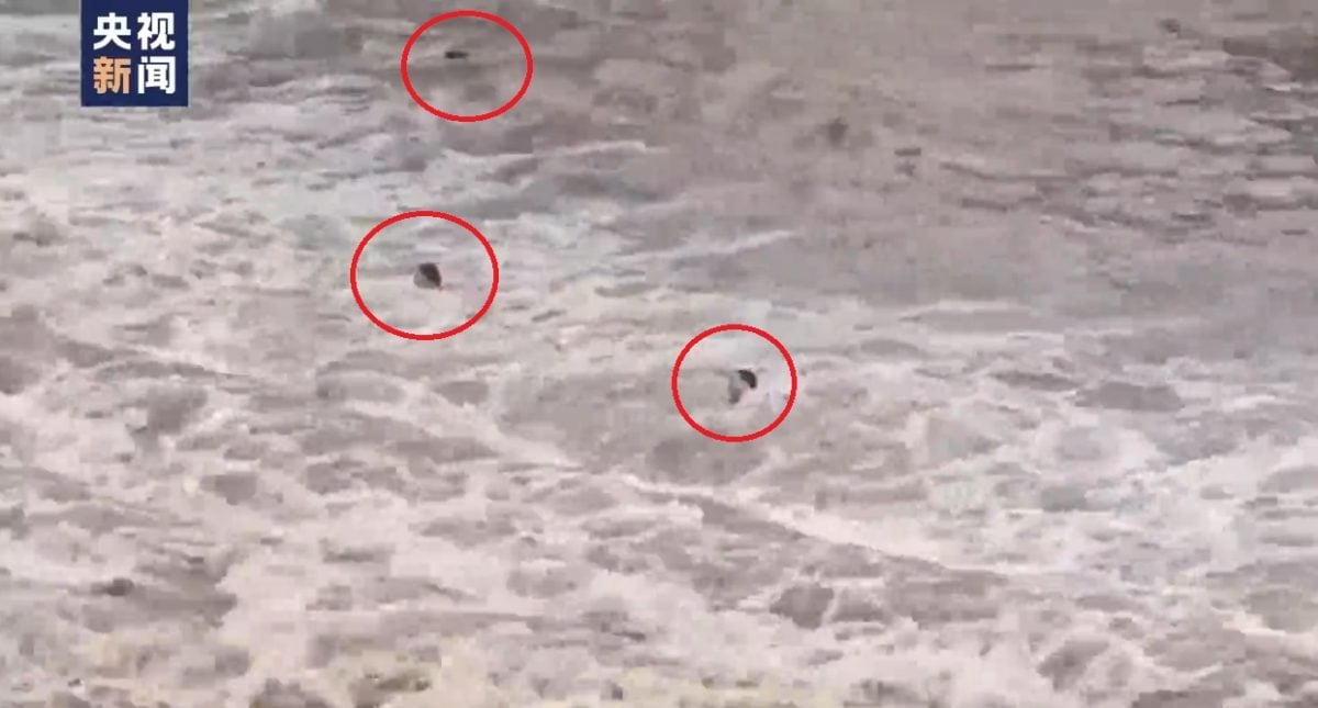 河道涨水冲走打卡游客 7人遇难 