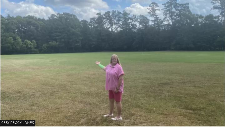 离奇遭遇从天而降 美国妇女受鹰蛇双面夹攻