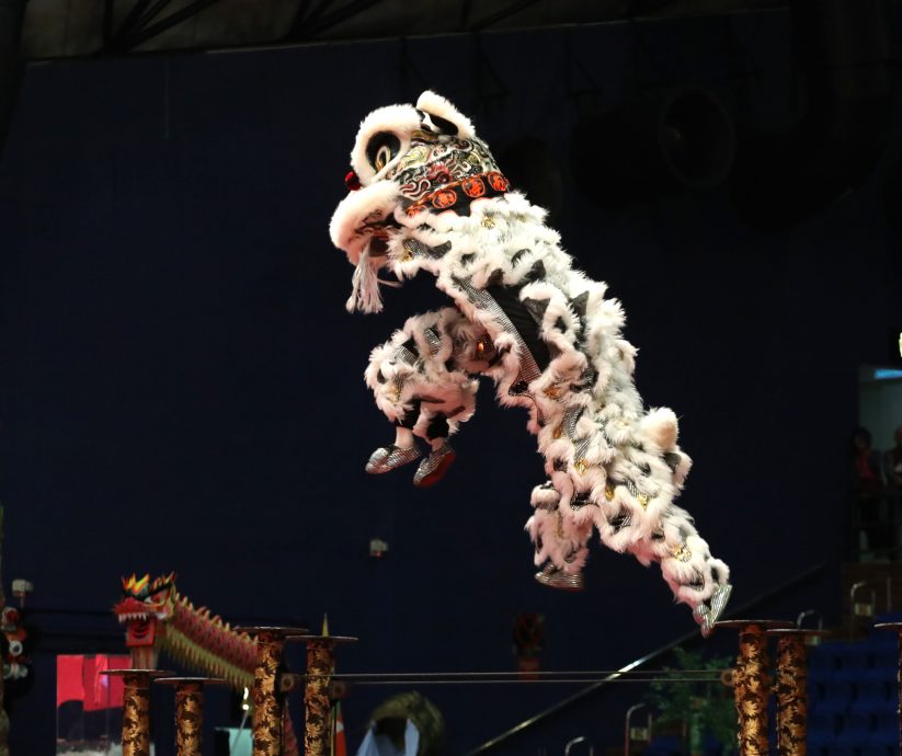 第二天：第14届云顶世界狮王争霸战