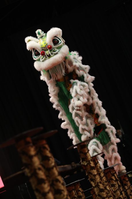 第二天：第14届云顶世界狮王争霸战