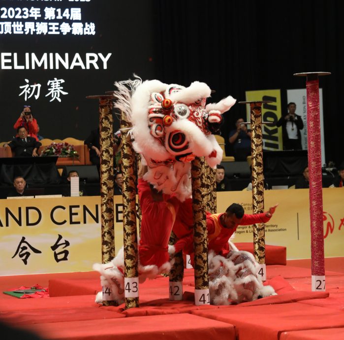 第二天：第14届云顶世界狮王争霸战