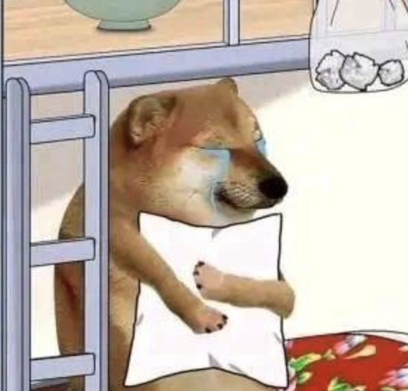 网络知名表情包小狗Cheems去世:请记得它为这世界带来的欢乐