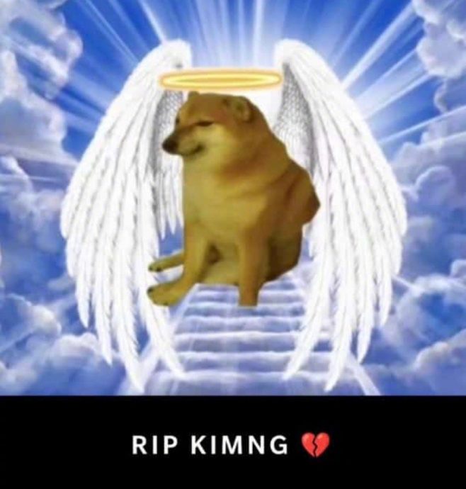 网络知名表情包小狗Cheems去世:请记得它为这世界带来的欢乐