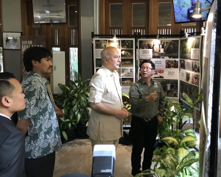 聂纳兹米:提醒各州政府 保护好野生动植物栖息地