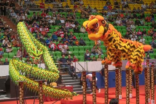 第一天:第14届云顶世界狮王争霸战