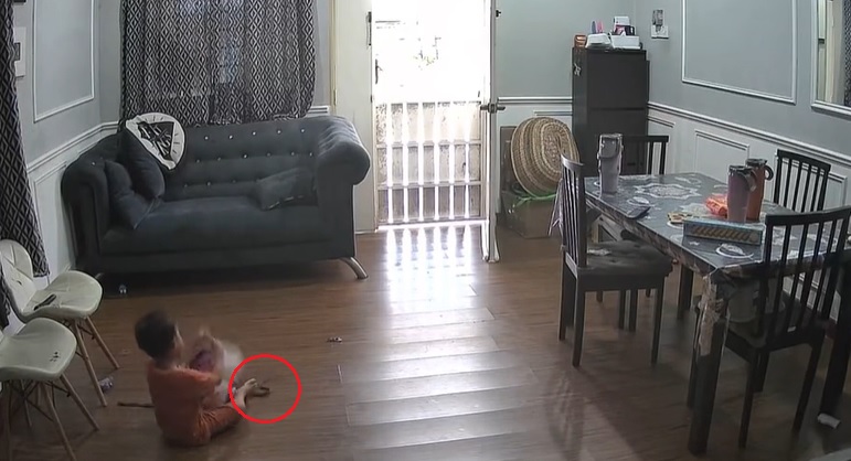 视频|打开书包突有蛇爬出 男童吓得爆哭喊妈妈