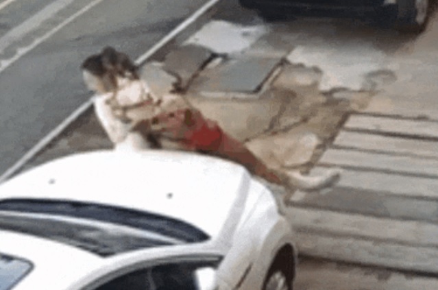 视频|金毛未拴绳扑倒女子再撕咬小狗