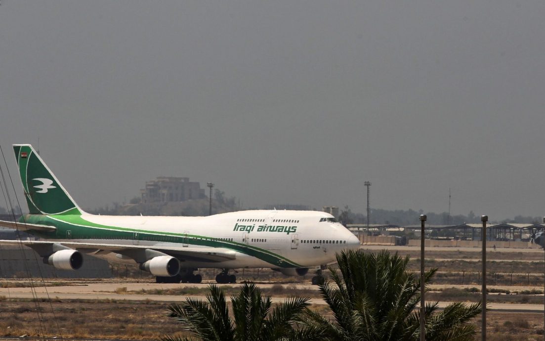 货舱内黑熊逃逸 航班延误引乘客不满